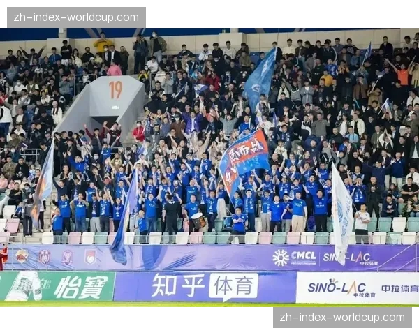 “为残疾人球迷而战”：意甲多支俱乐部主场增设无障碍观赛席位