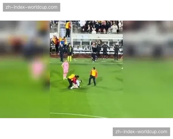 球迷冲入场内导致比赛中断，该球迷被安保人员带离